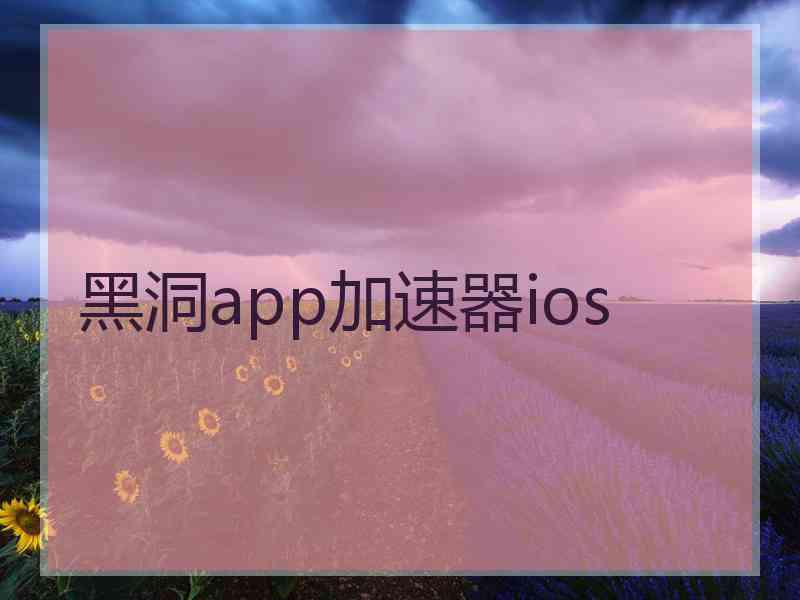 黑洞app加速器ios