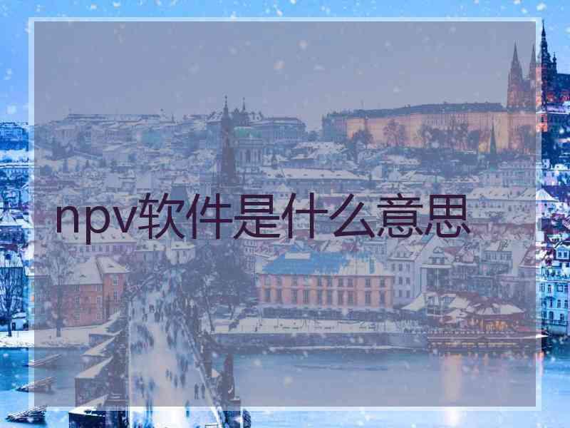 npv软件是什么意思