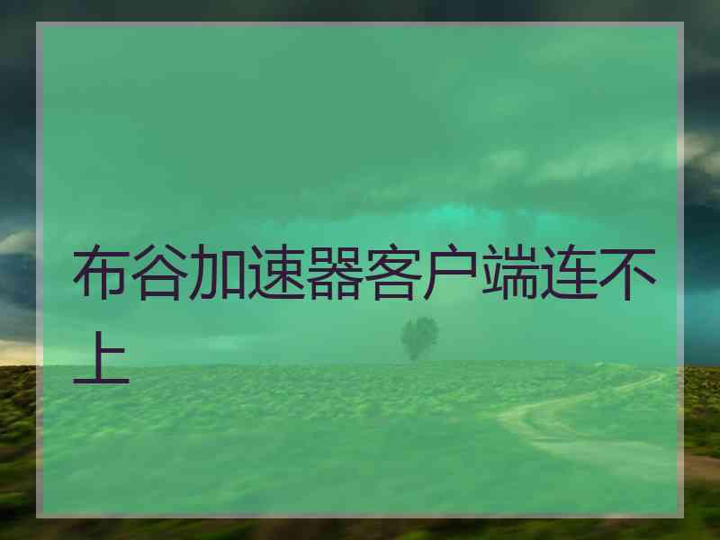 布谷加速器客户端连不上