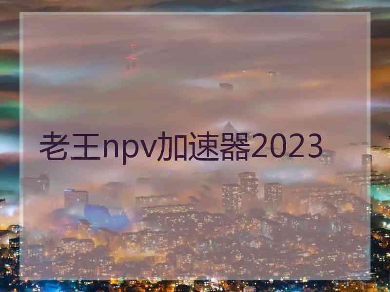 老王npv加速器2023