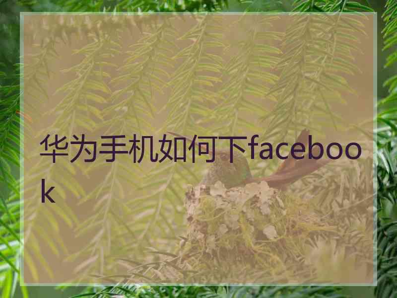 华为手机如何下facebook