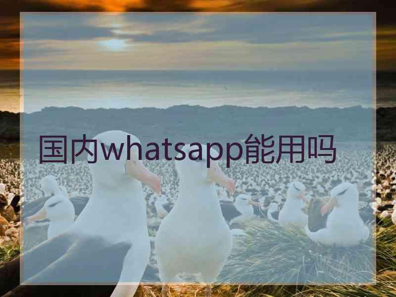 国内whatsapp能用吗