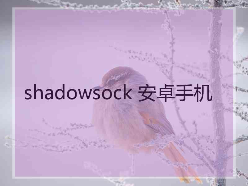 shadowsock 安卓手机