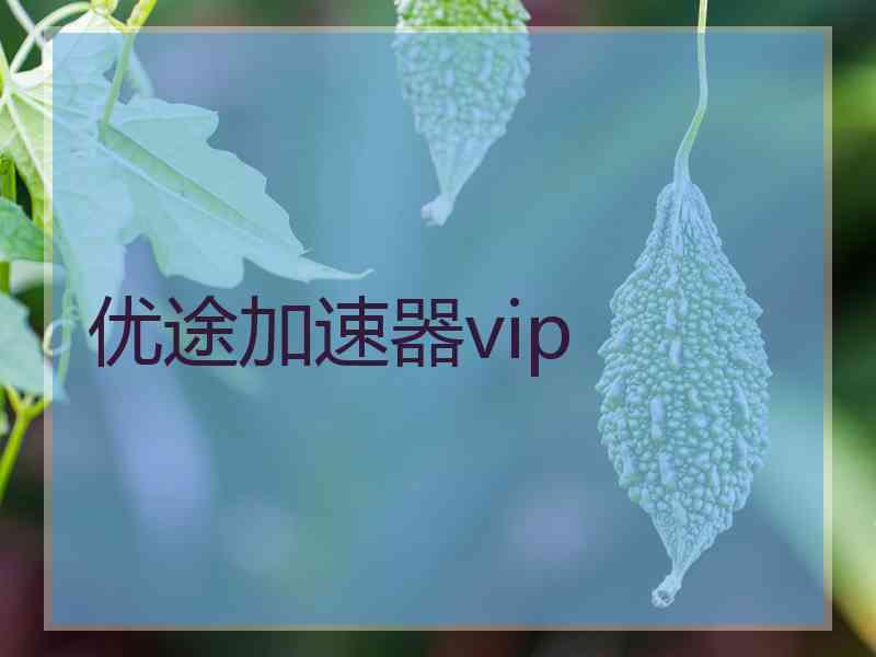 优途加速器vip