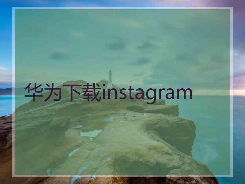 华为下载instagram