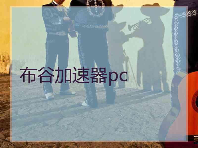 布谷加速器pc