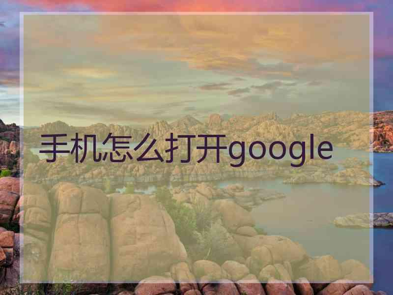 手机怎么打开google