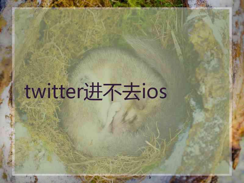 twitter进不去ios