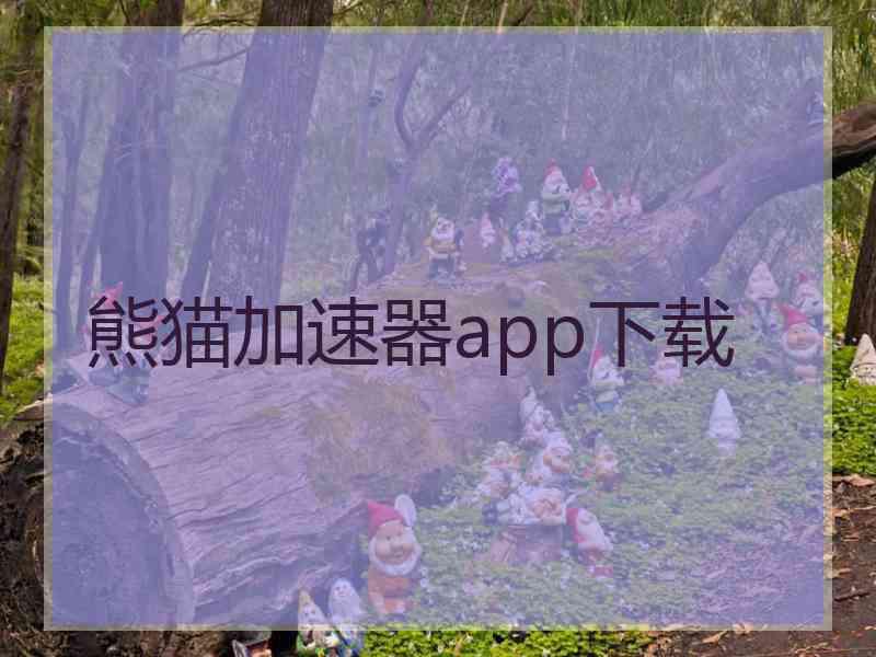 熊猫加速器app下载