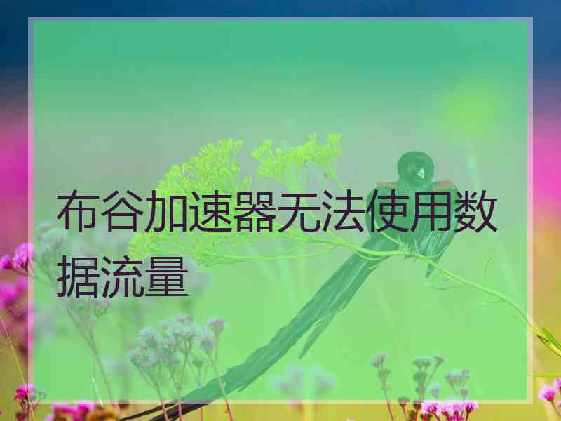 布谷加速器无法使用数据流量