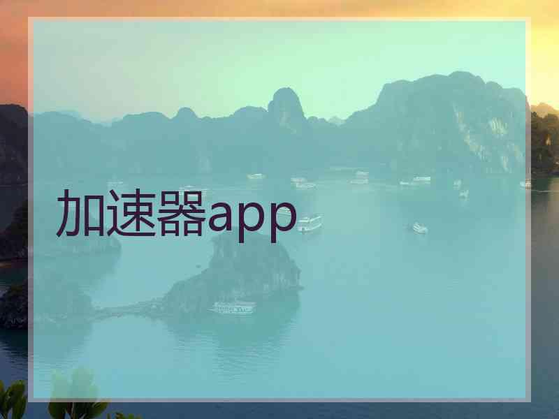 加速器app