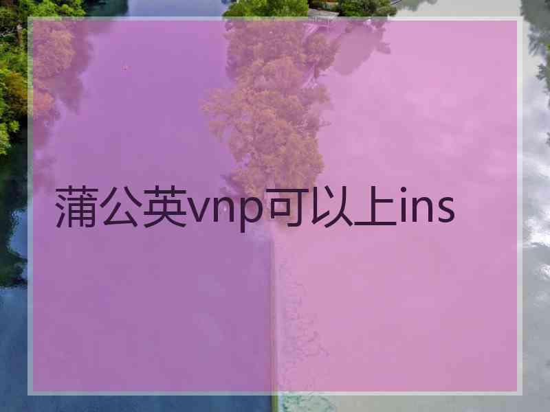 蒲公英vnp可以上ins