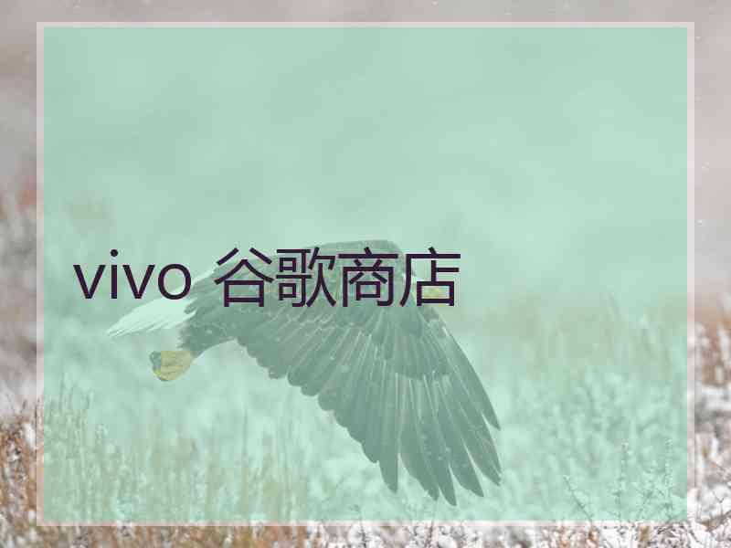 vivo 谷歌商店