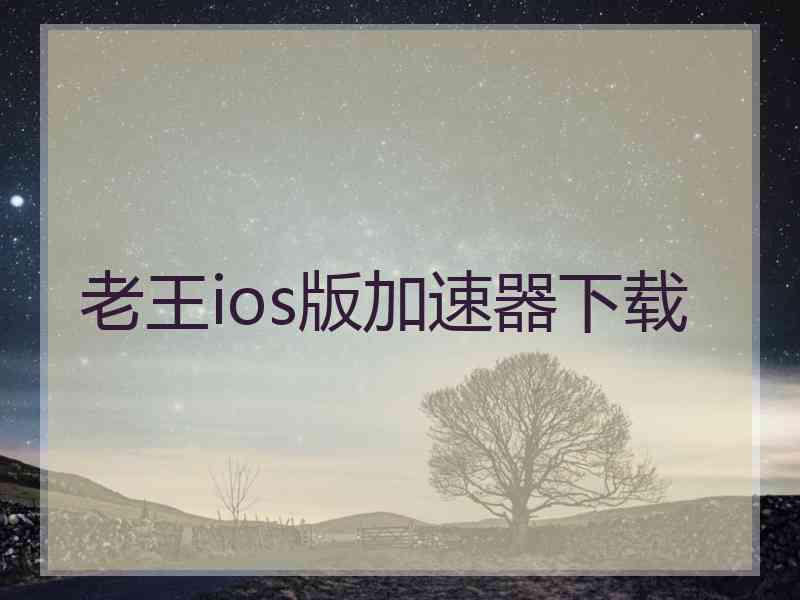 老王ios版加速器下载