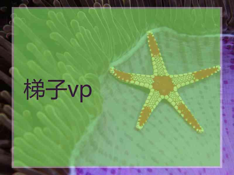 梯子vp