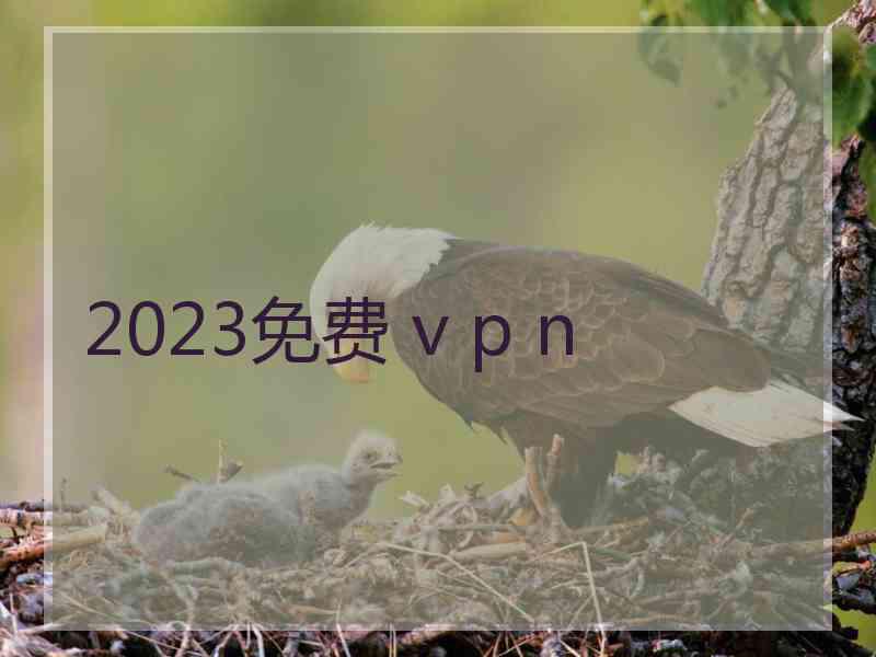 2023免费 v p n