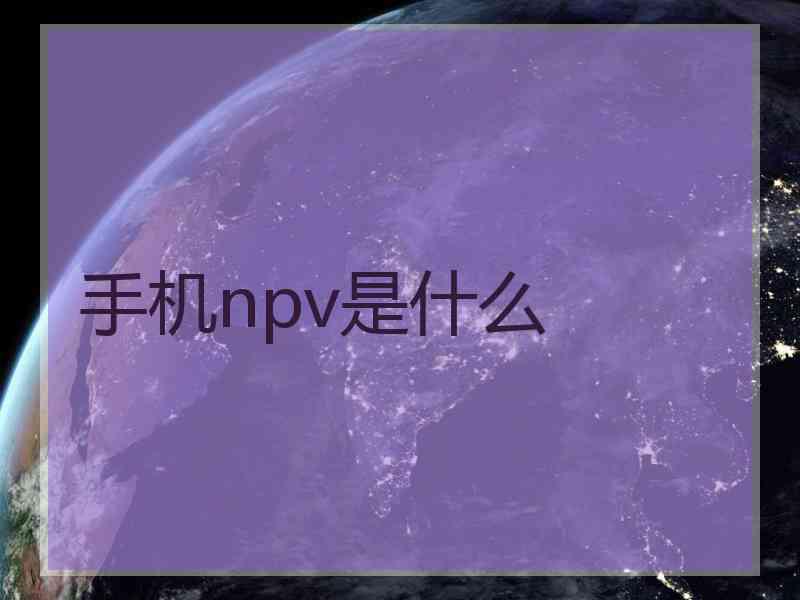 手机npv是什么