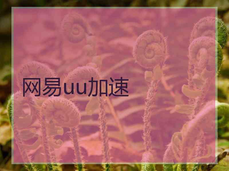 网易uu加速