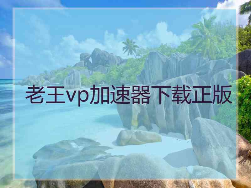 老王vp加速器下载正版