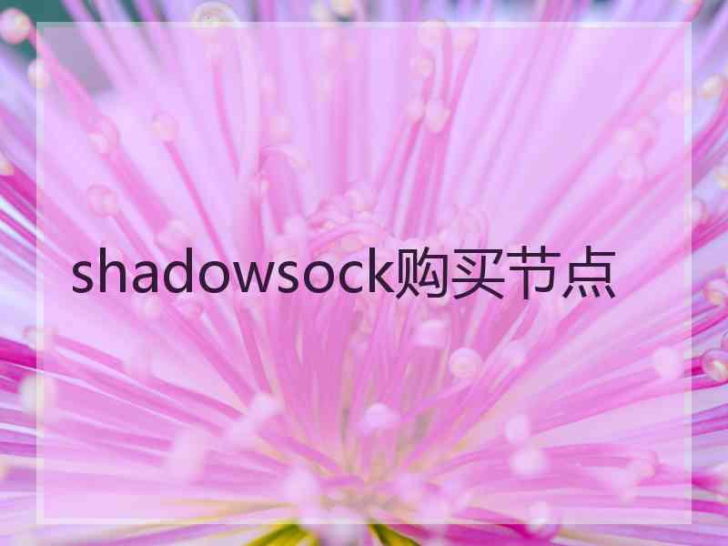 shadowsock购买节点