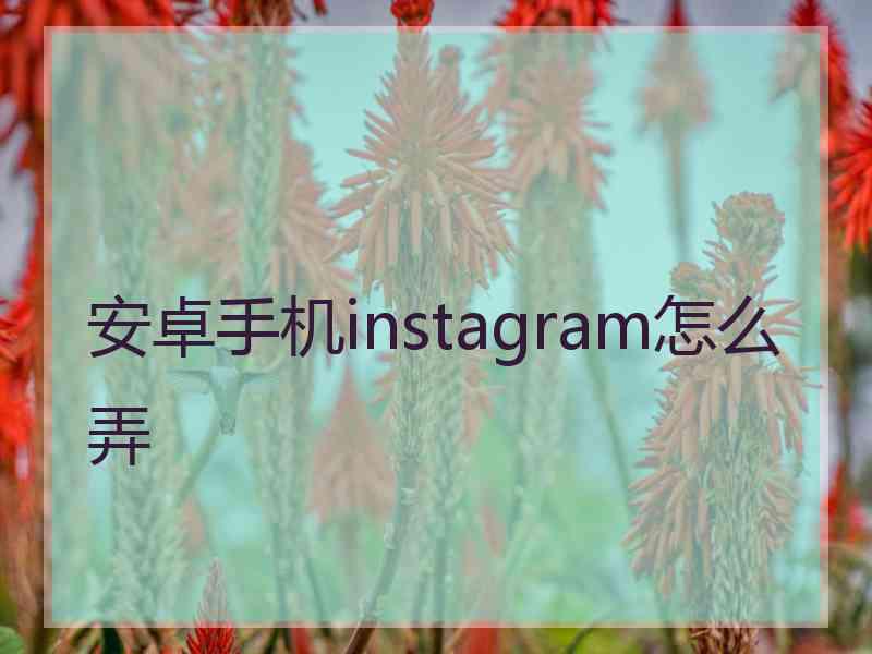 安卓手机instagram怎么弄