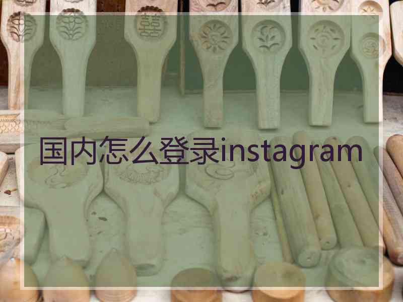 国内怎么登录instagram