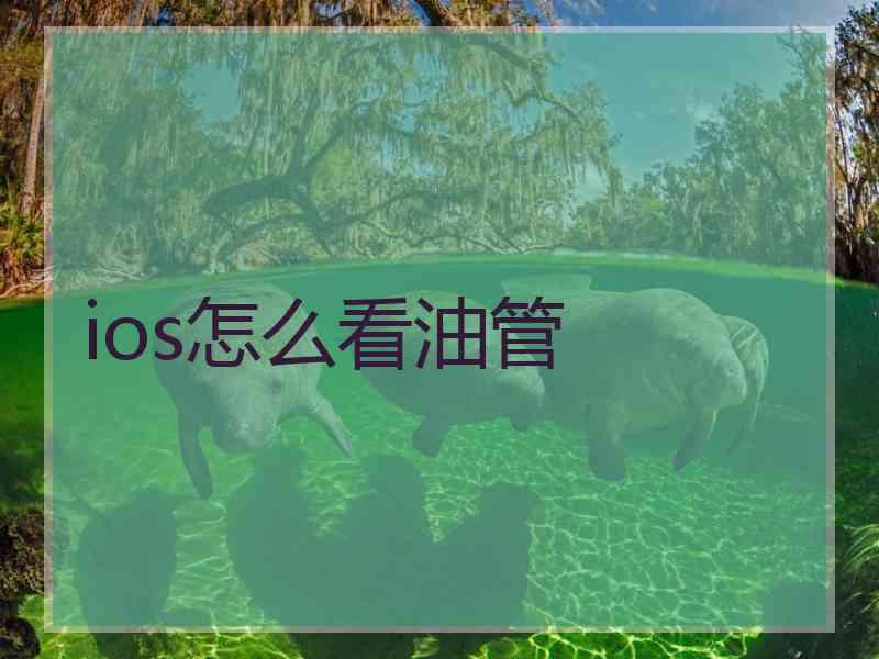 ios怎么看油管