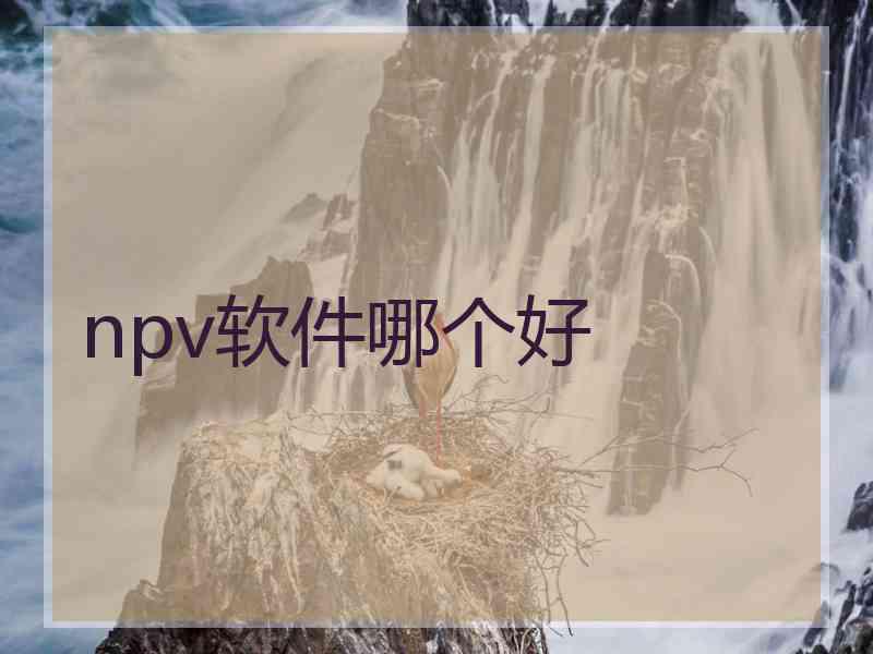 npv软件哪个好