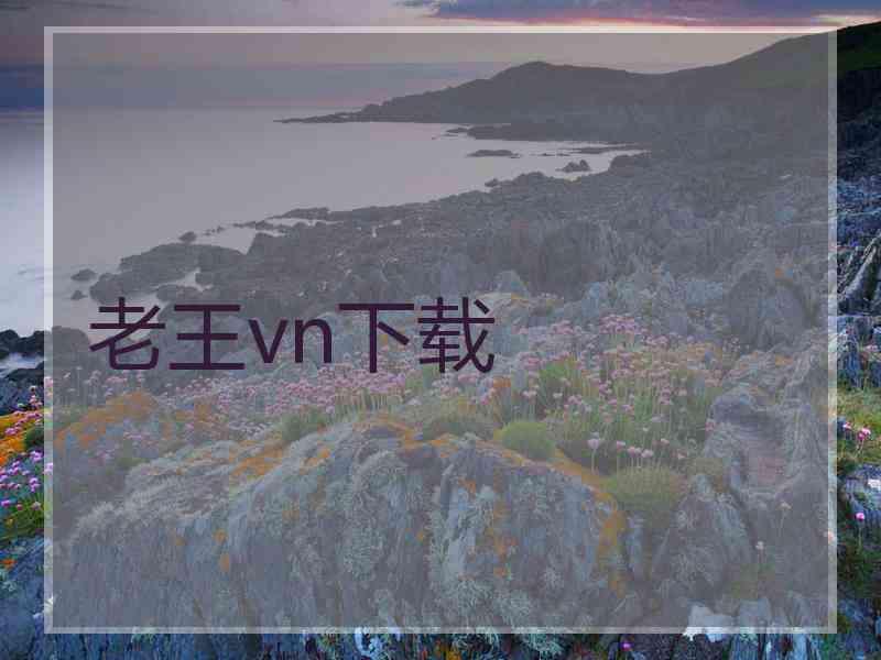 老王vn下载