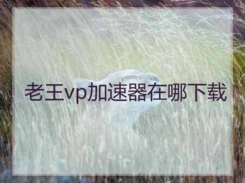 老王vp加速器在哪下载