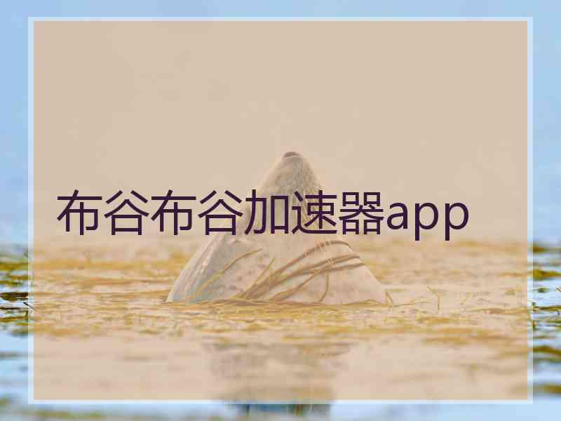 布谷布谷加速器app