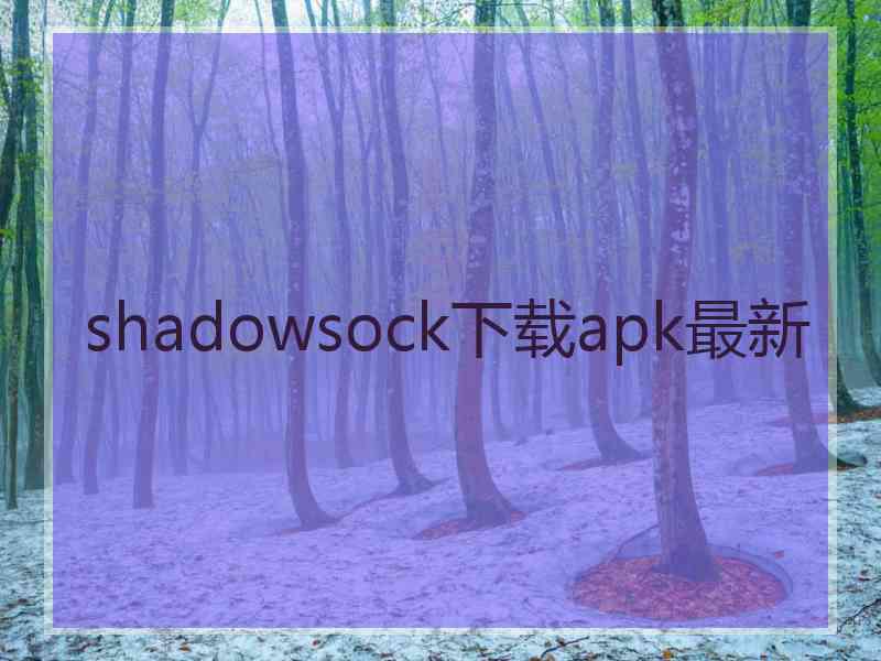 shadowsock下载apk最新