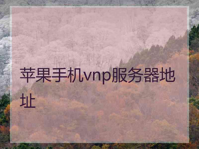 苹果手机vnp服务器地址