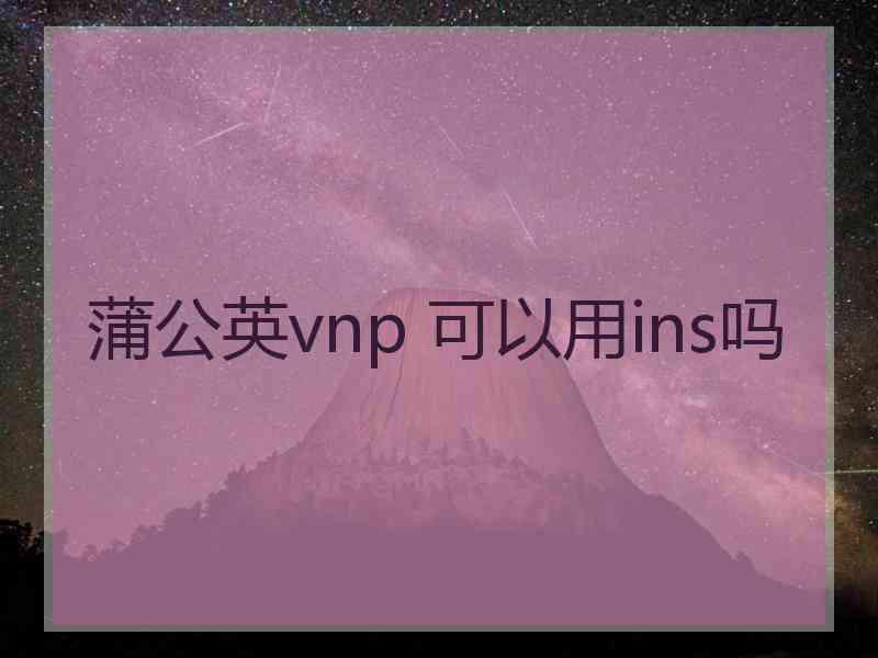 蒲公英vnp 可以用ins吗