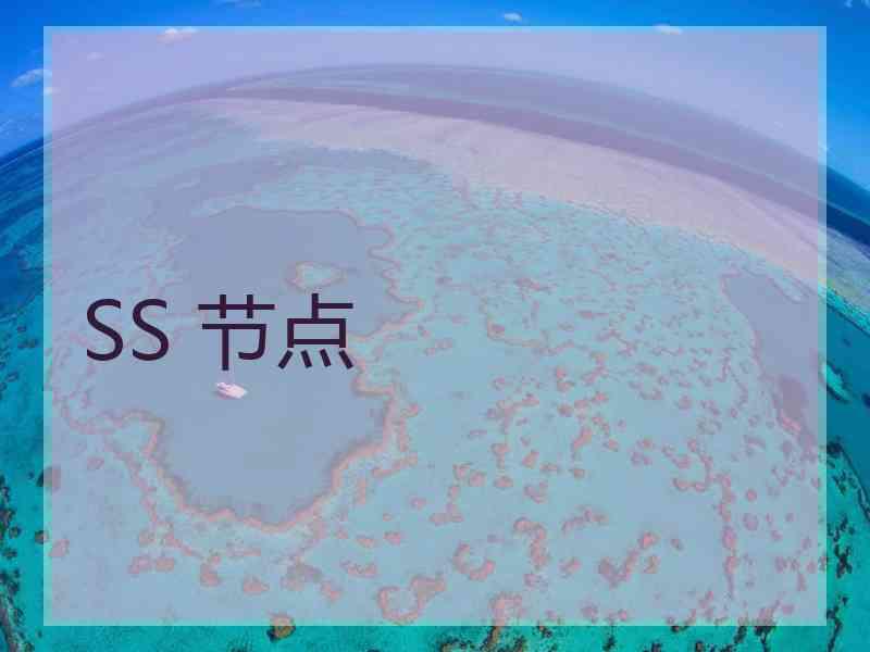 SS 节点