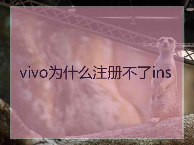 vivo为什么注册不了ins