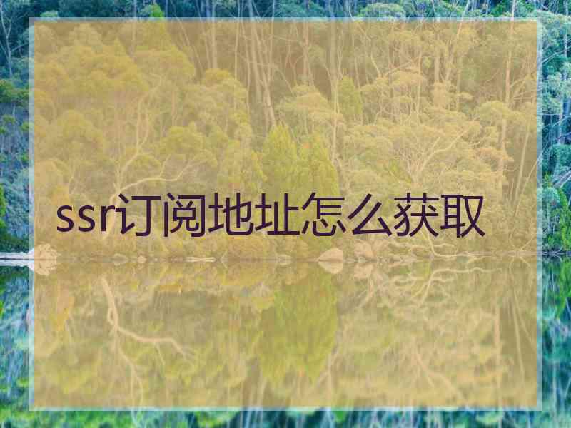 ssr订阅地址怎么获取