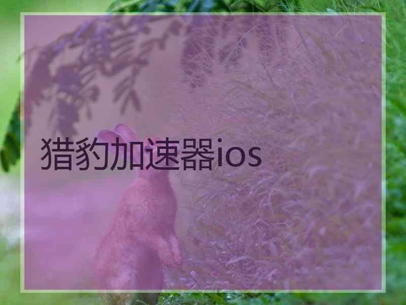 猎豹加速器ios