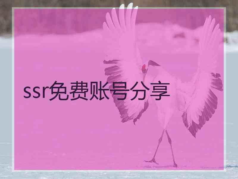 ssr免费账号分享