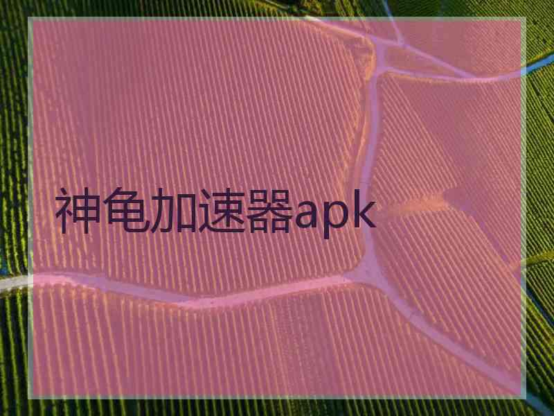 神龟加速器apk