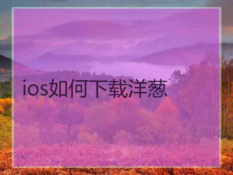 ios如何下载洋葱