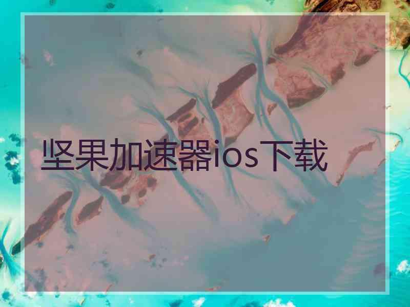 坚果加速器ios下载